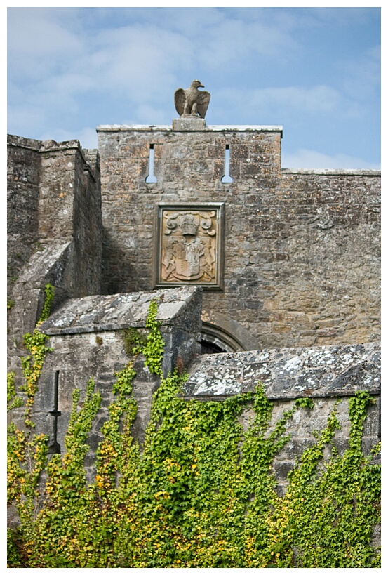 Cahir Castle