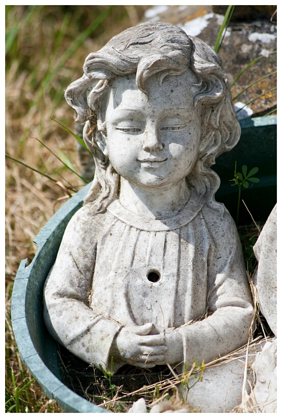 Lost Angel