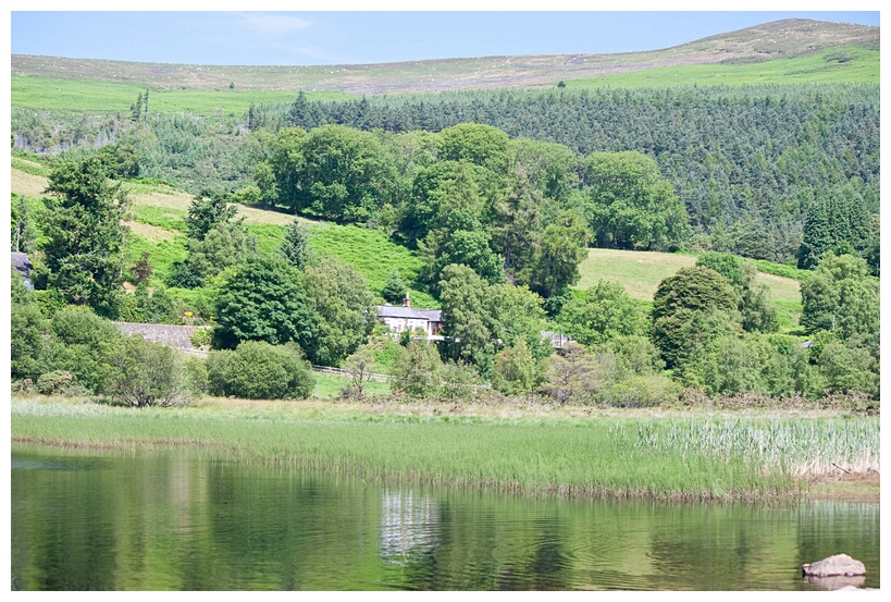 Glendalough Landscape