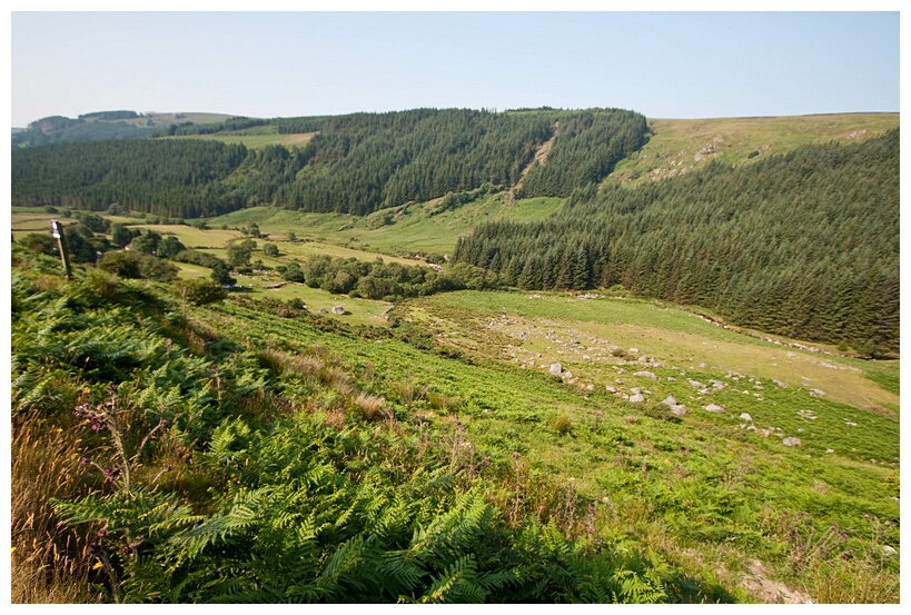 Wicklow Mountains