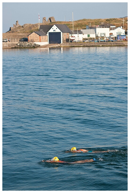 Brave swimmers