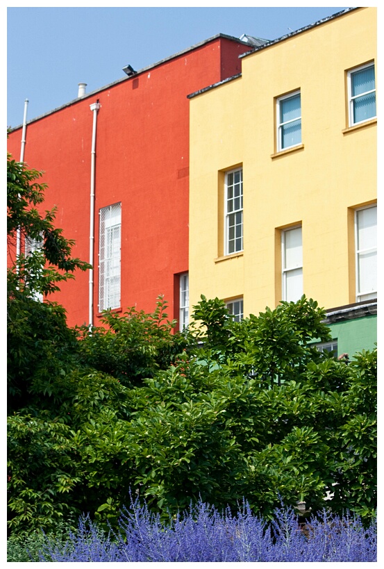 Coloured Houses