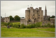 Trim Castle