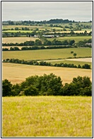 Fertile Earth