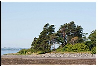 Strangford Lough