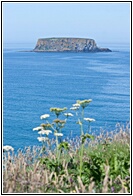Little Island
