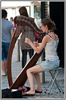 Harpist