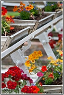Victorian Flowers