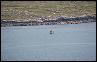 Galway Hooker