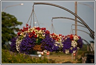Flowers Nests