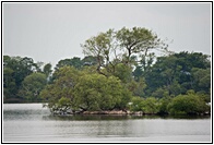 Lough Leane