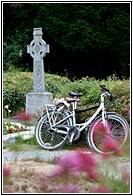 Muckross Abbey