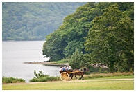 Jaunting Car