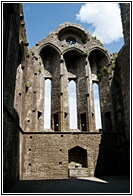 Roofless Cathedral