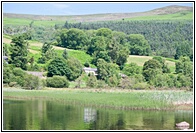 Glendalough Landscape