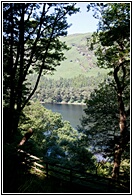 Upper Lake View
