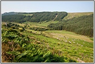 Wicklow Mountains