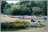 Merrion Square Gardens