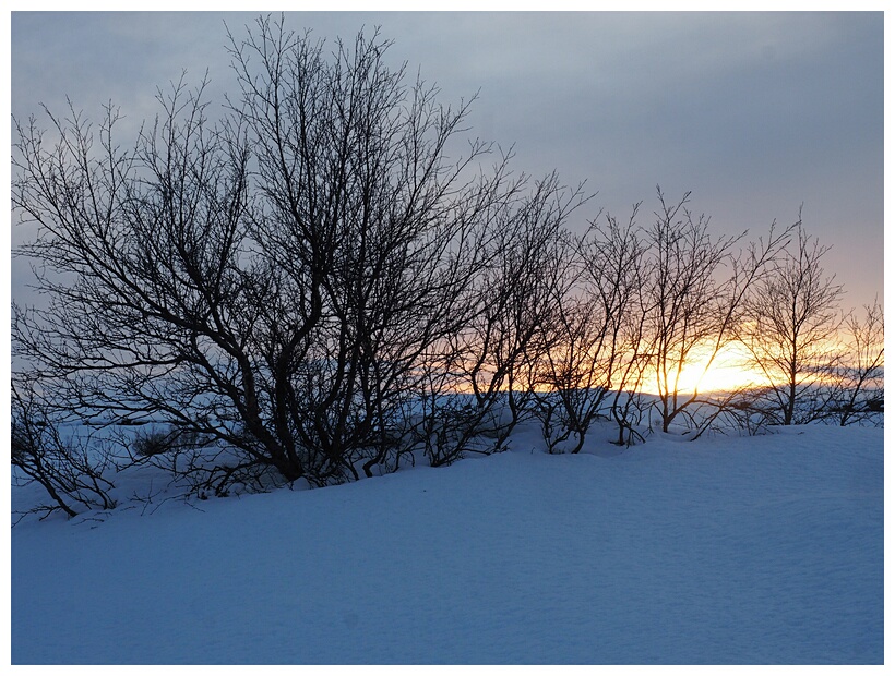 Sunrise