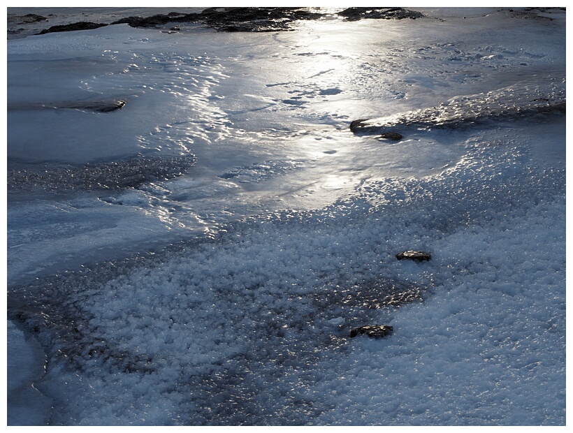Frozen