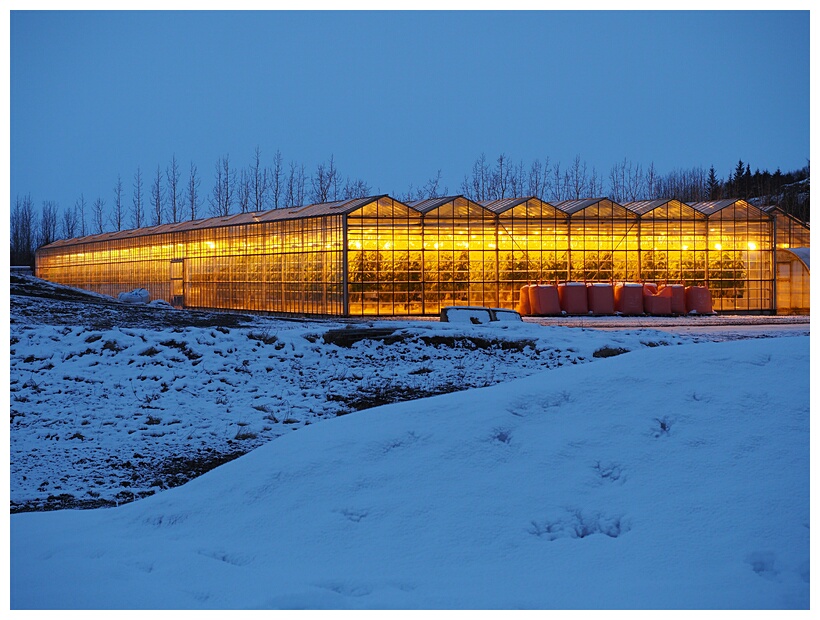 Flir Greenhouses