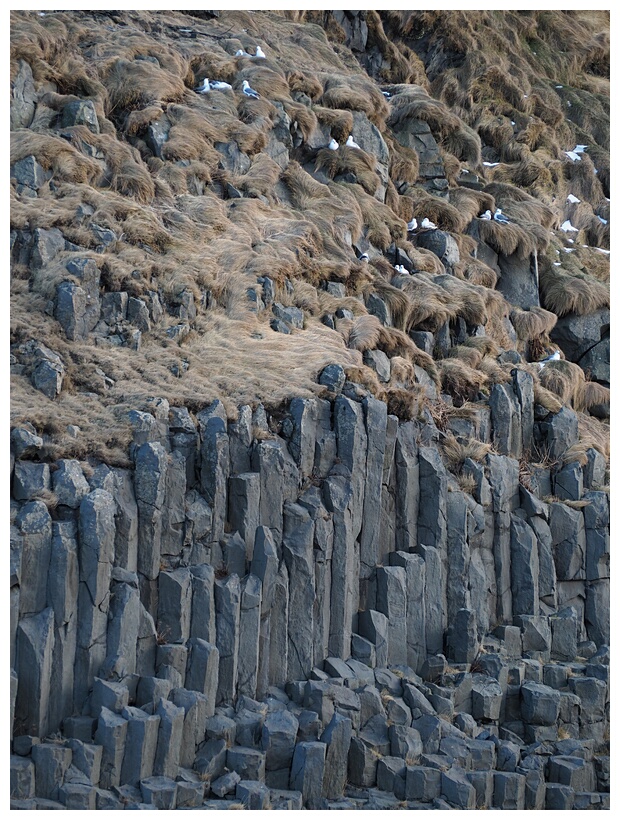 Basalt Columns