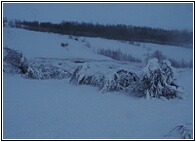 Snowy Landscape