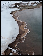 Geysir