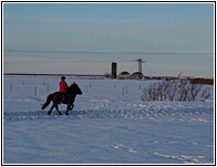Horseriding