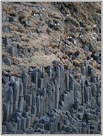 Basalt Columns
