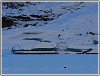 Slheimajkull glacier