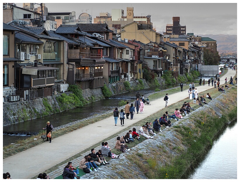 Kamo River