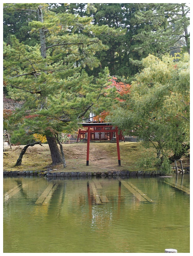 Torii Gate
