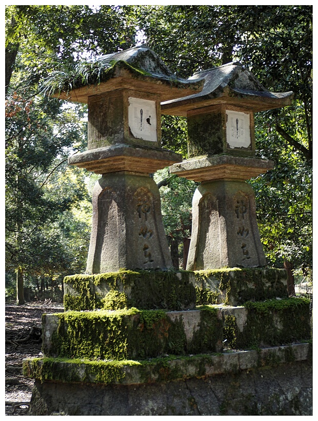 Lanterns