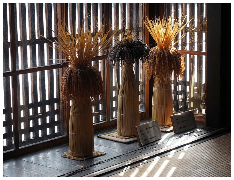 Straw Bottles
