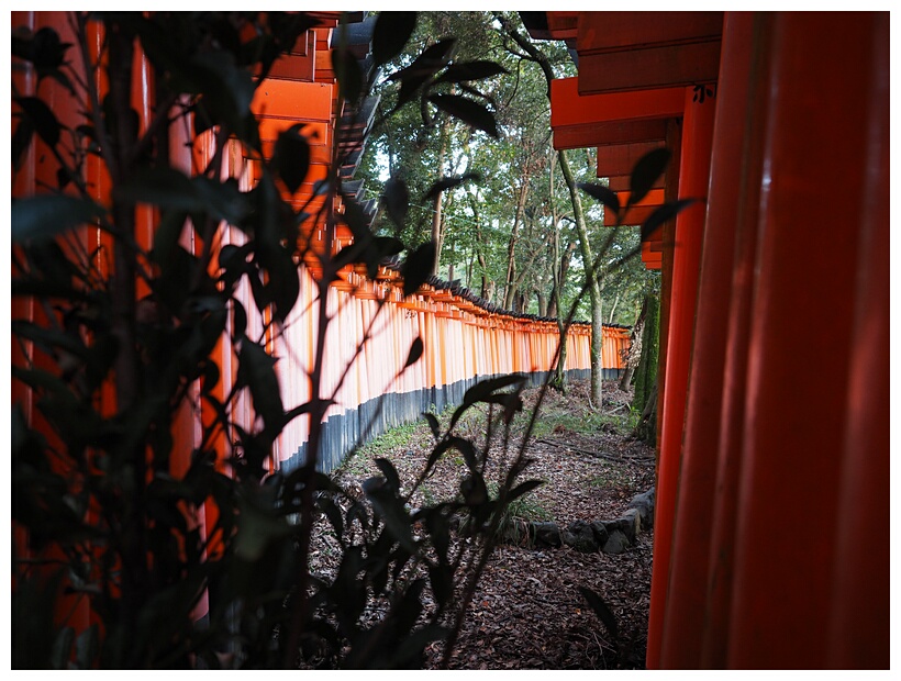 Fushimi Inari Shrine