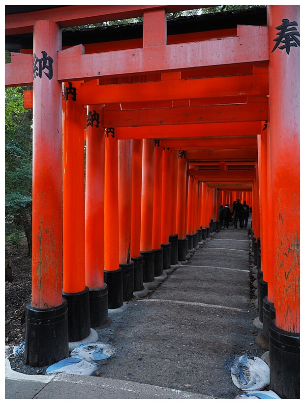 Fushimi Inari Shrine