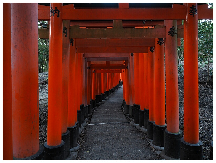 Fushimi Inari Shrine