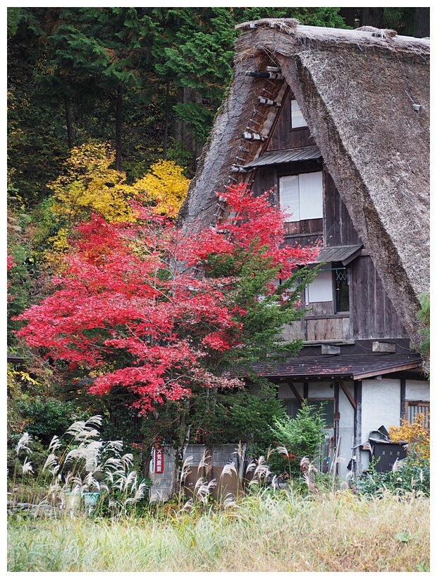Ogimachi Farmhouse