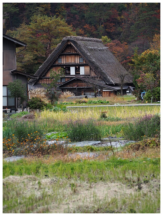 Gassho-zukuri House