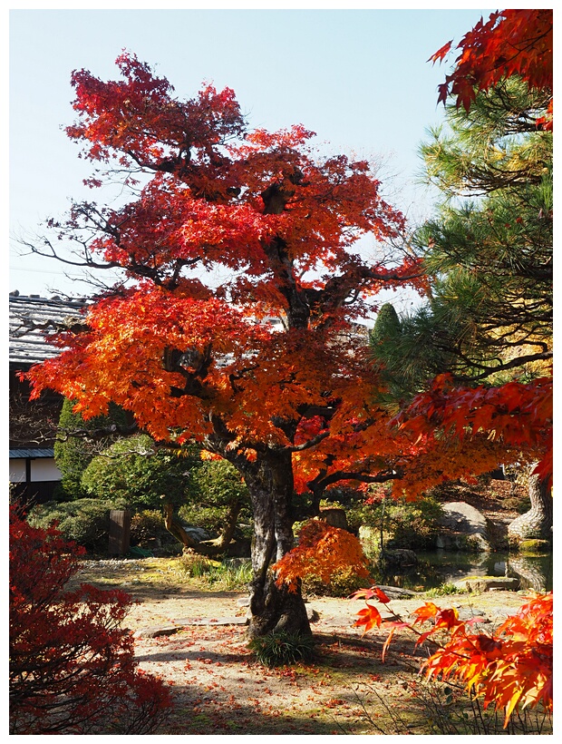 Takayama Jinya