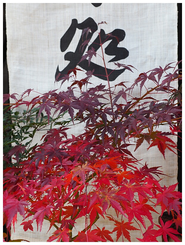 Calligraphy