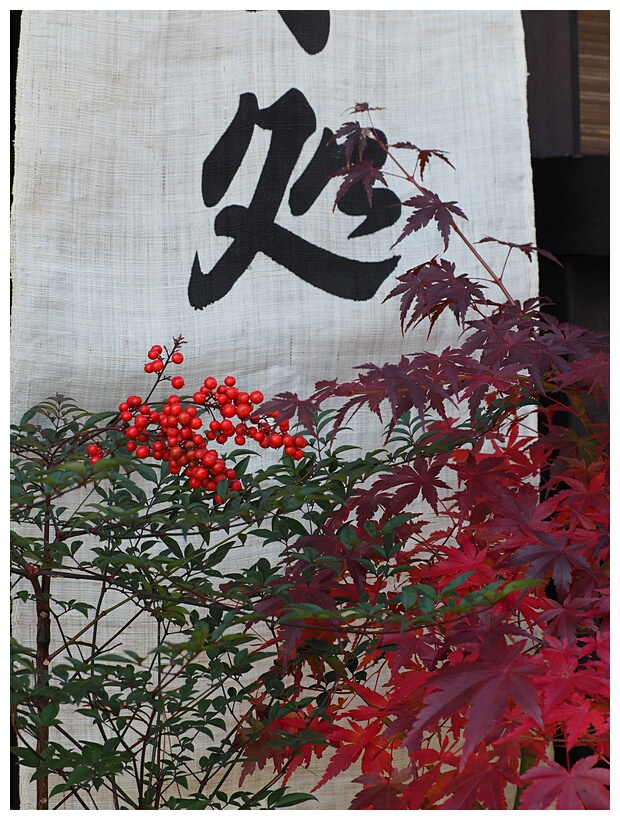 Takayama