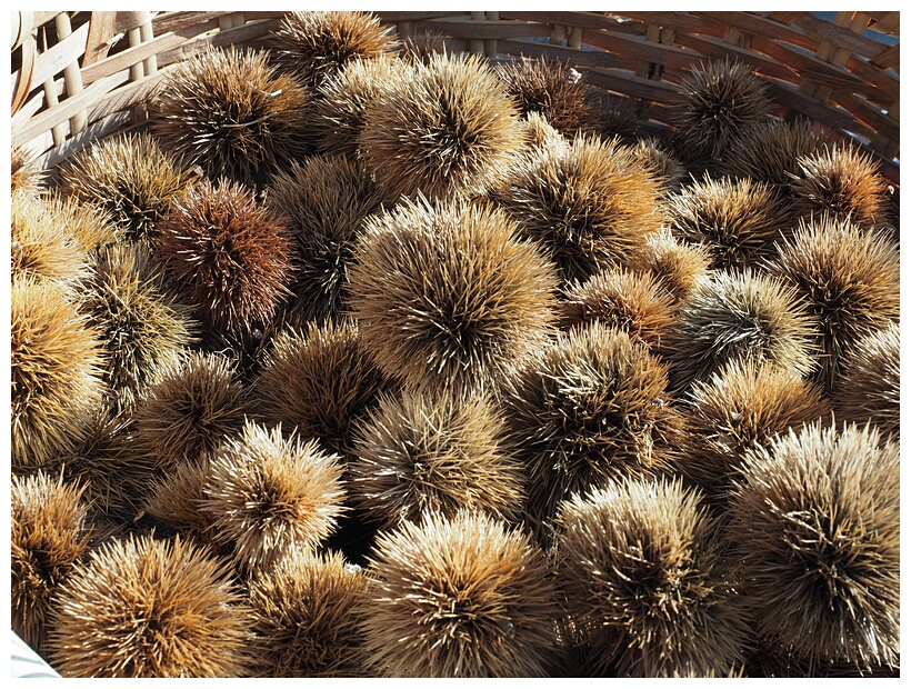 Chestnuts