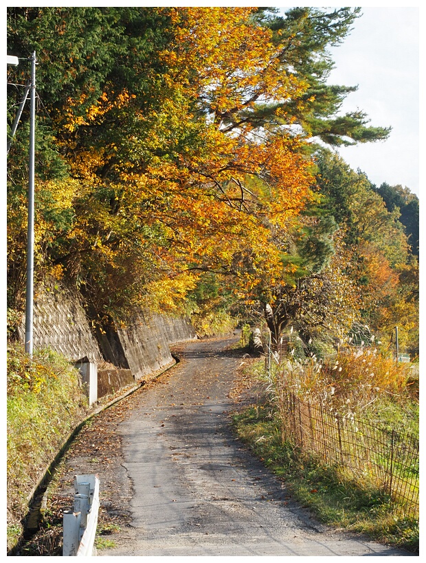 Nakasendo Trail