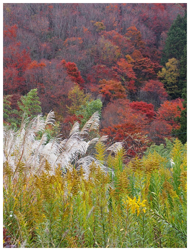 Kiso Valley