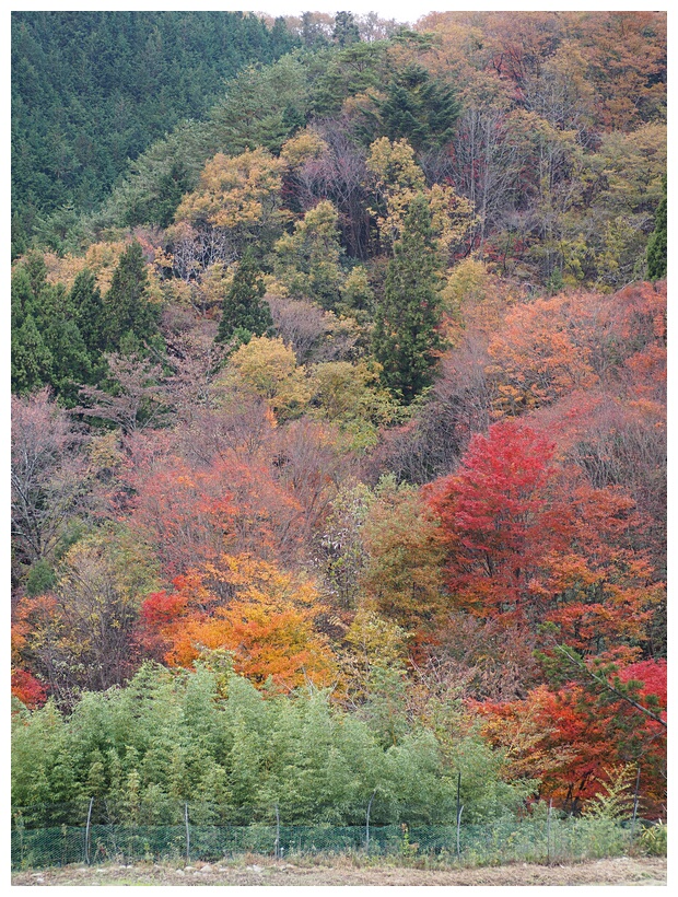 Kiso Valley