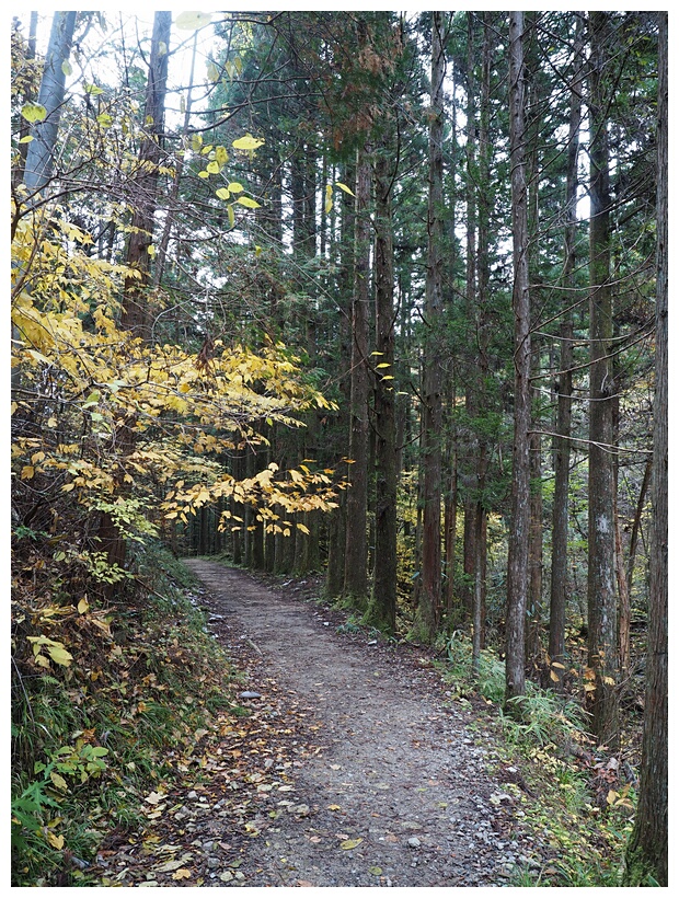 Nakasendo Trail