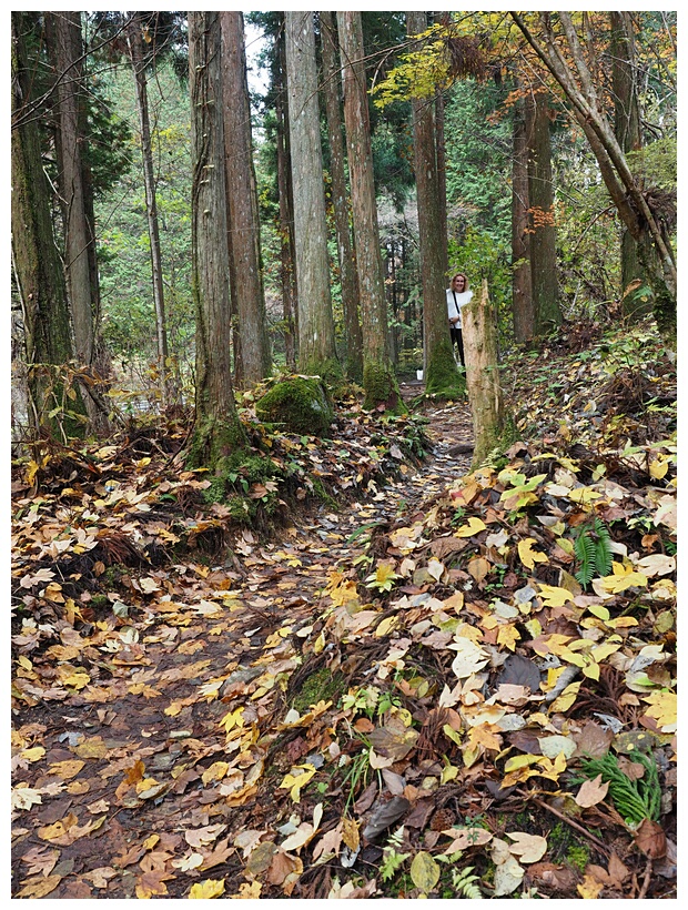 Nakasendo Trail