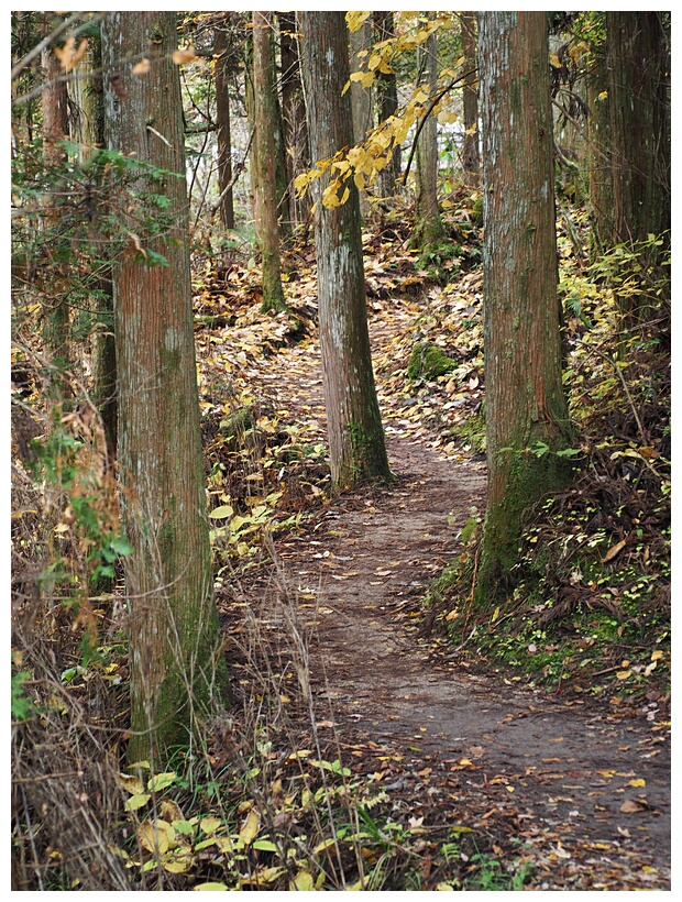 Nakasendo Trail